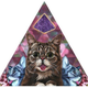 Illustration for article titled Its Like Taking Drugs and Looking at Cats